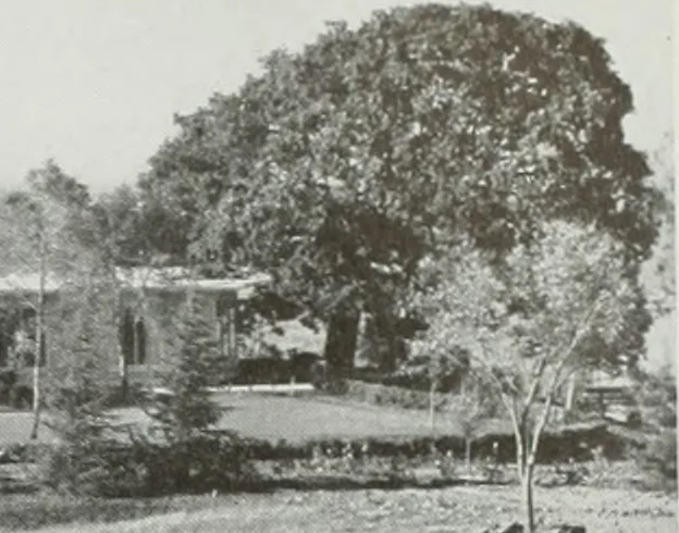 An illustration from Architect and engineer, 1905, leaf 440