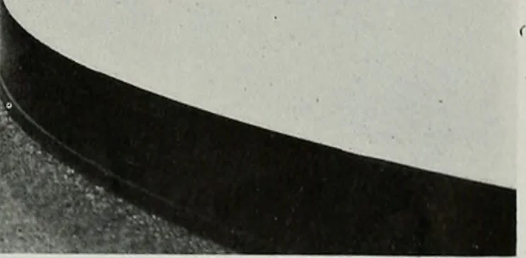 An illustration from Architect and engineer, 1905, leaf 126