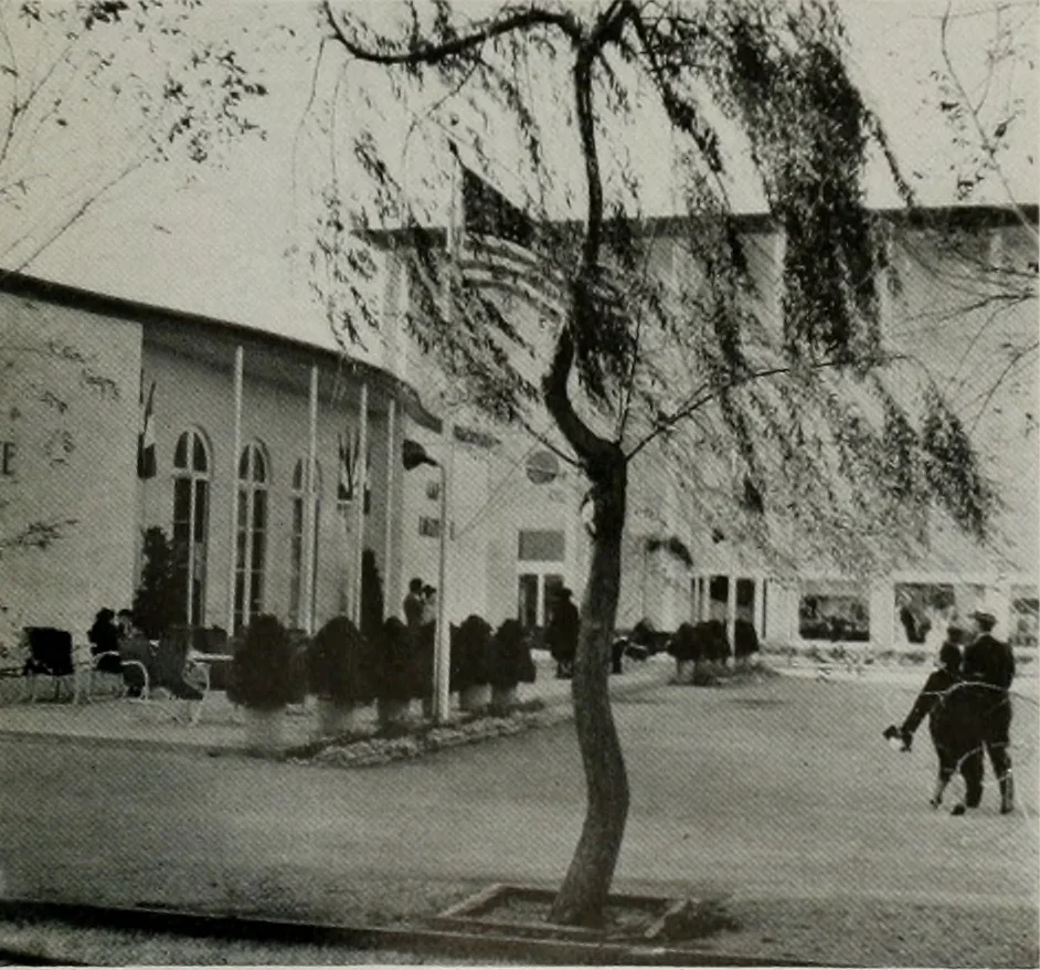 An illustration from Architect and engineer, 1905, leaf 187