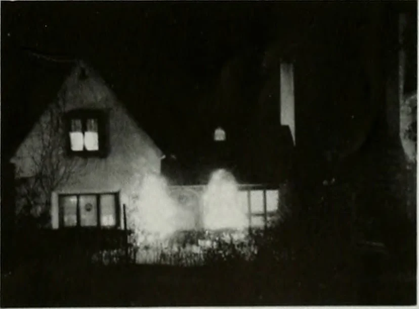 An illustration from Architect and engineer, 1905, leaf 198