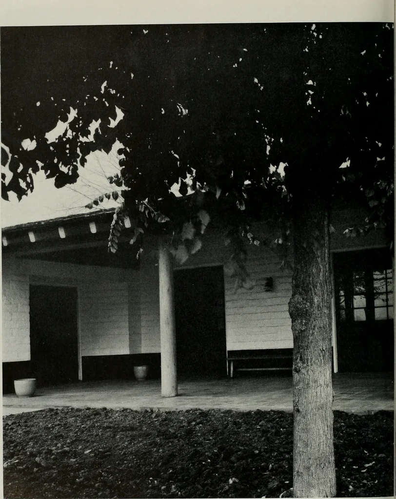 An illustration from Architect and engineer, 1905, leaf 255