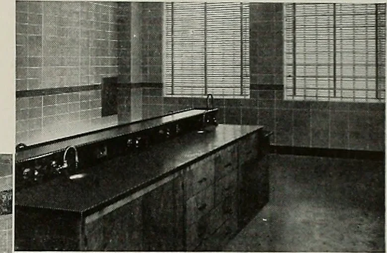 An illustration from Architect and engineer, 1905, leaf 394