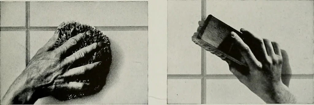 An illustration from Architect and engineer, 1905, leaf 398