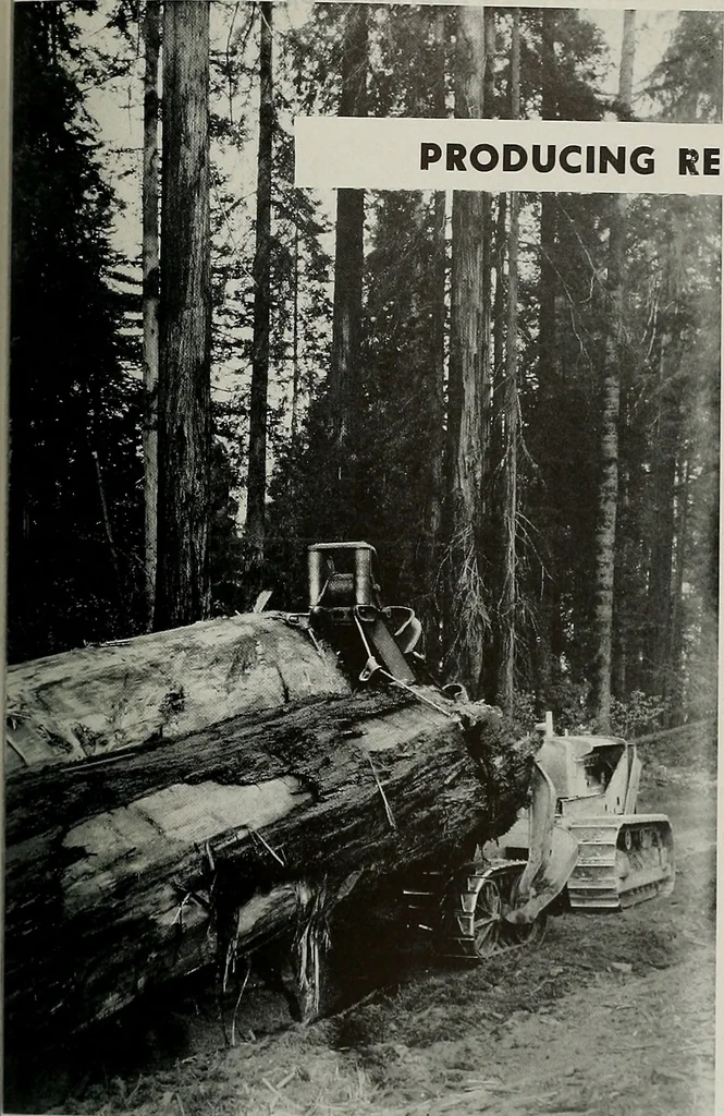 An illustration from Architect and engineer, 1905, leaf 410