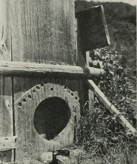 An illustration from Architect and engineer, 1905, leaf 434