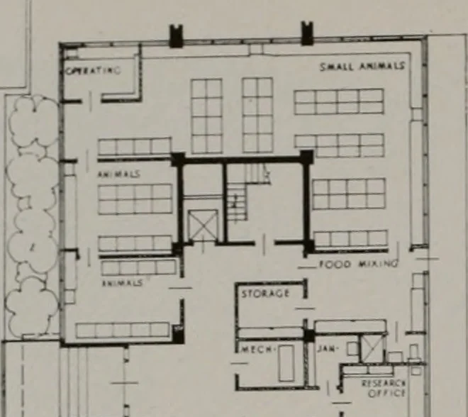 An illustration from Architect and engineer, 1905, leaf 121