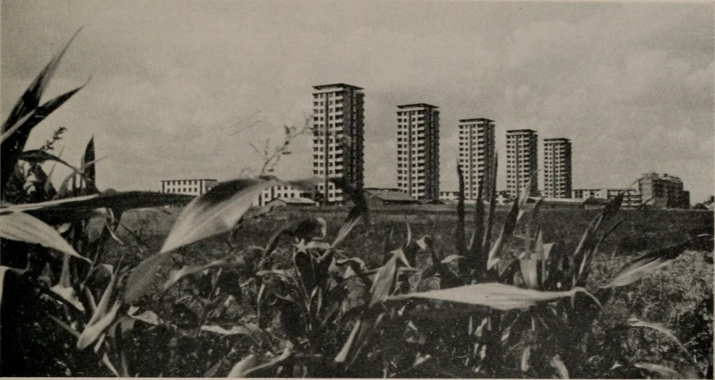 An illustration from Architect and engineer, 1905, leaf 302