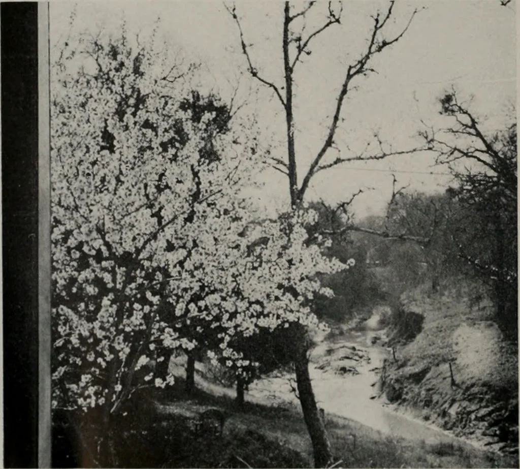 An illustration from Architect and engineer, 1905, leaf 35