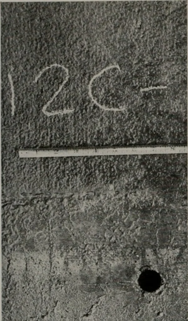An illustration from Architect and engineer, 1905, leaf 397