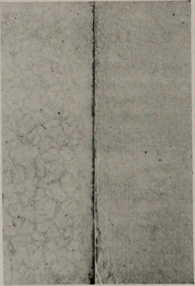 An illustration from Architect and engineer, 1905, leaf 399