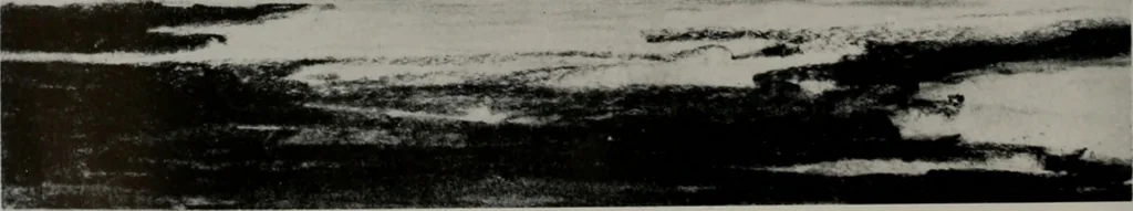 An illustration from Architect and engineer, 1905, leaf 93