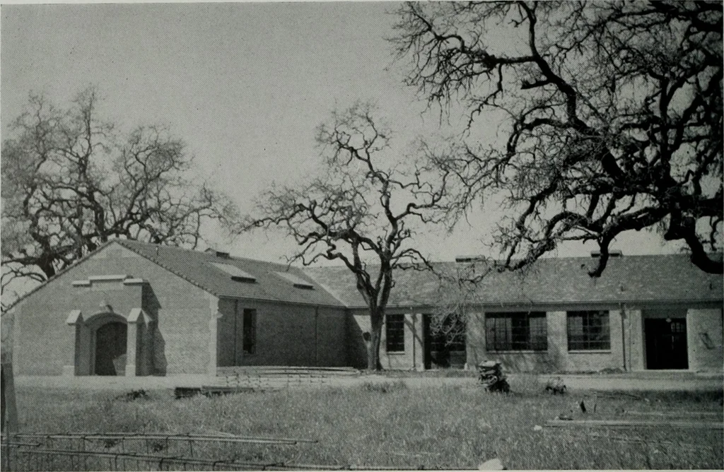 An illustration from Architect and engineer, 1905, leaf 115
