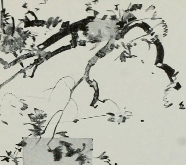 An illustration from Architect and engineer, 1905, leaf 172