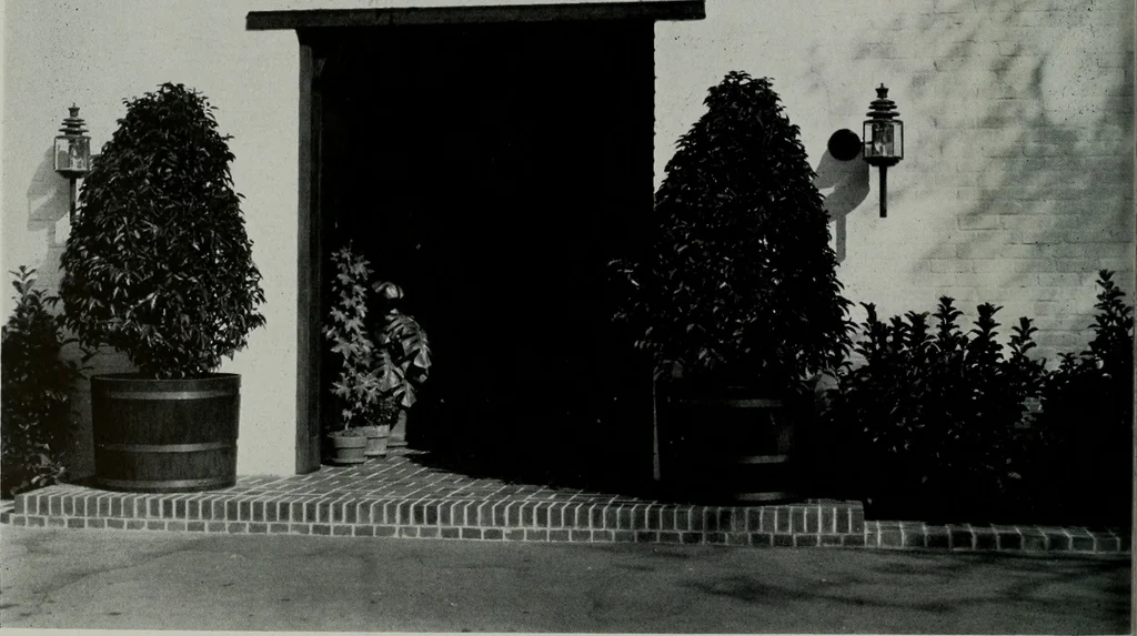 An illustration from Architect and engineer, 1905, leaf 271