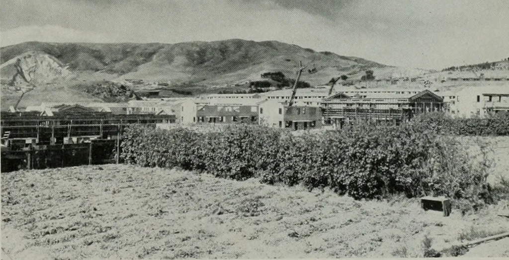 An illustration from Architect and engineer, 1905, leaf 344