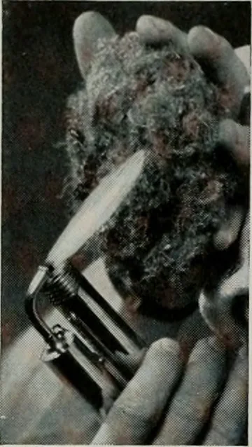 An illustration from Architect and engineer, 1905, leaf 392