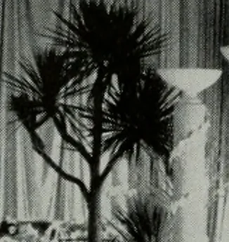 An illustration from Architect and engineer, 1905, leaf 413