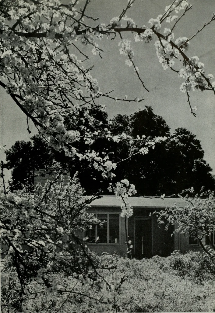 An illustration from Architect and engineer, 1905, leaf 438