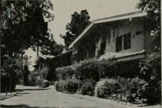 An illustration from Architect and engineer, 1905, leaf 246