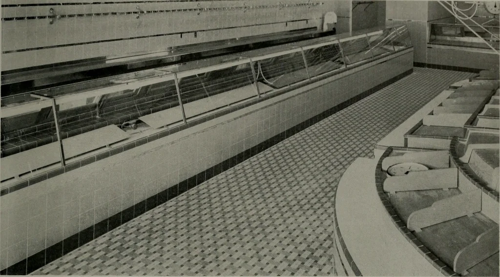 An illustration from Architect and engineer, 1905, leaf 28
