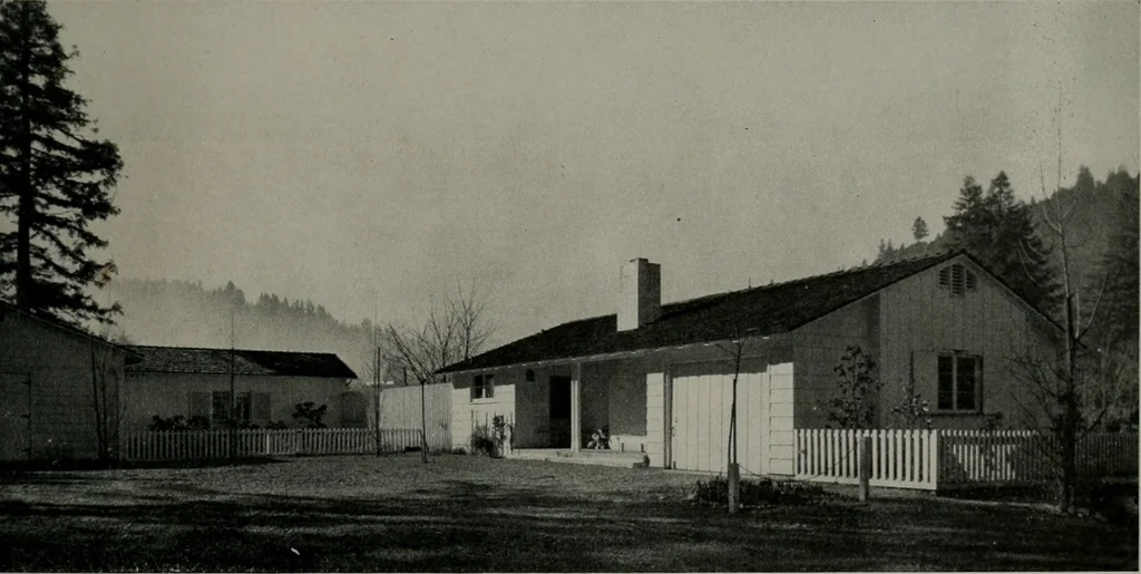 An illustration from Architect and engineer, 1905, leaf 300