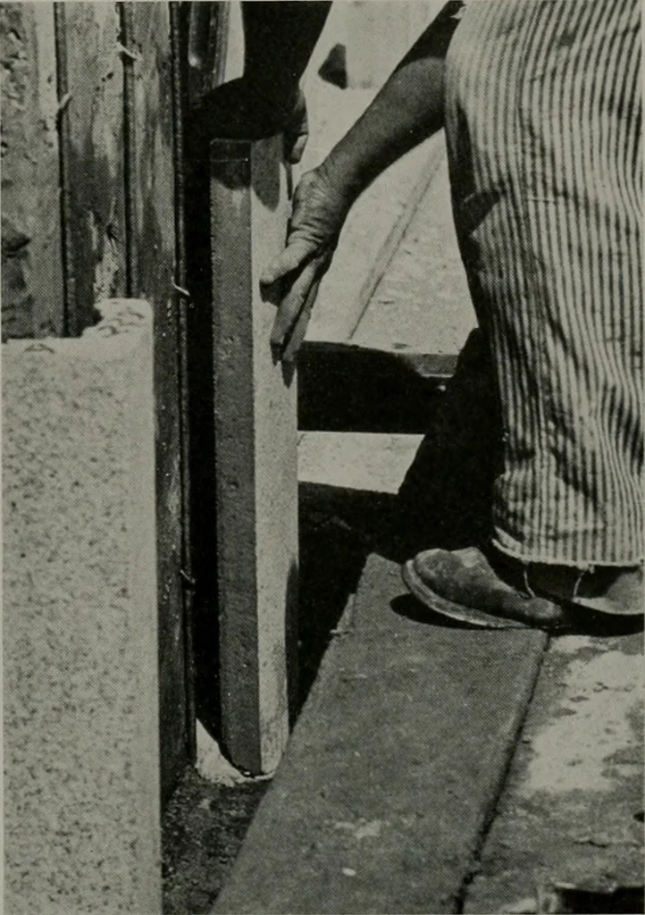 An illustration from Architect and engineer, 1905, leaf 34