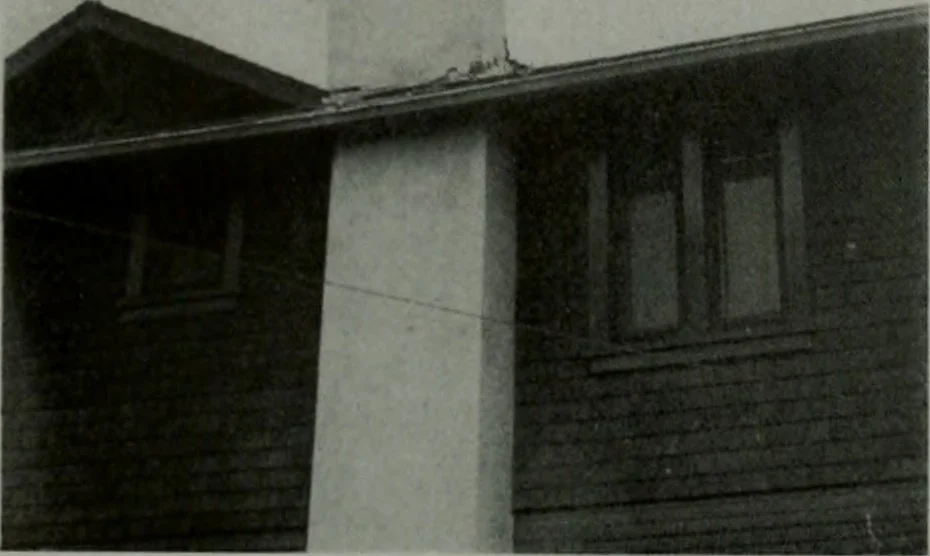 An illustration from Architect and engineer, 1905, leaf 445