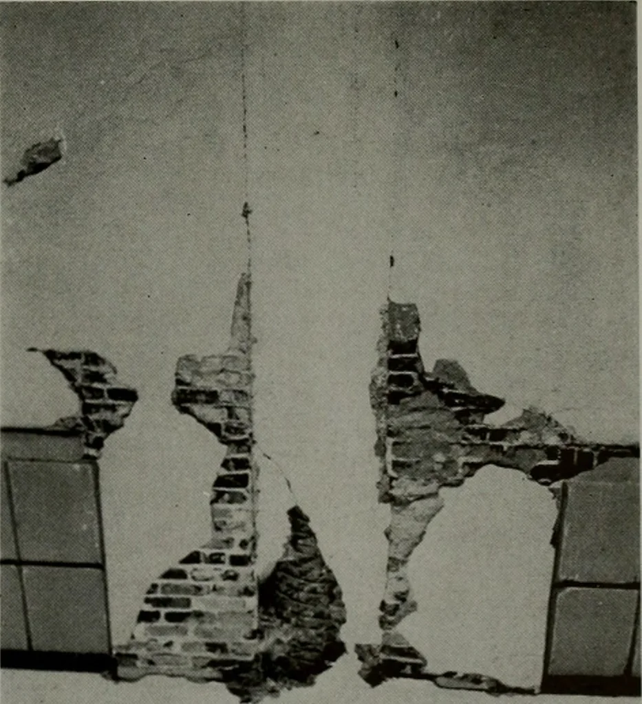 An illustration from Architect and engineer, 1905, leaf 446