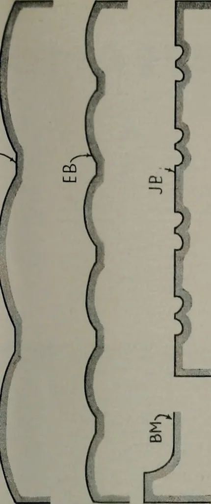 An illustration from Architect and engineer, 1905, leaf 46