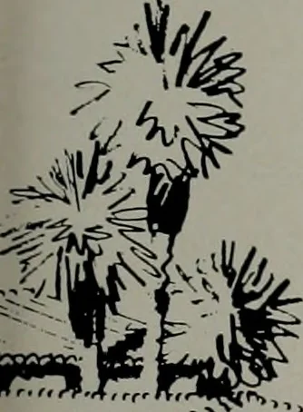 An illustration from Architect and engineer, 1905, leaf 188