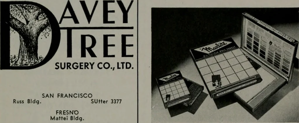 An illustration from Architect and engineer, 1905, leaf 239