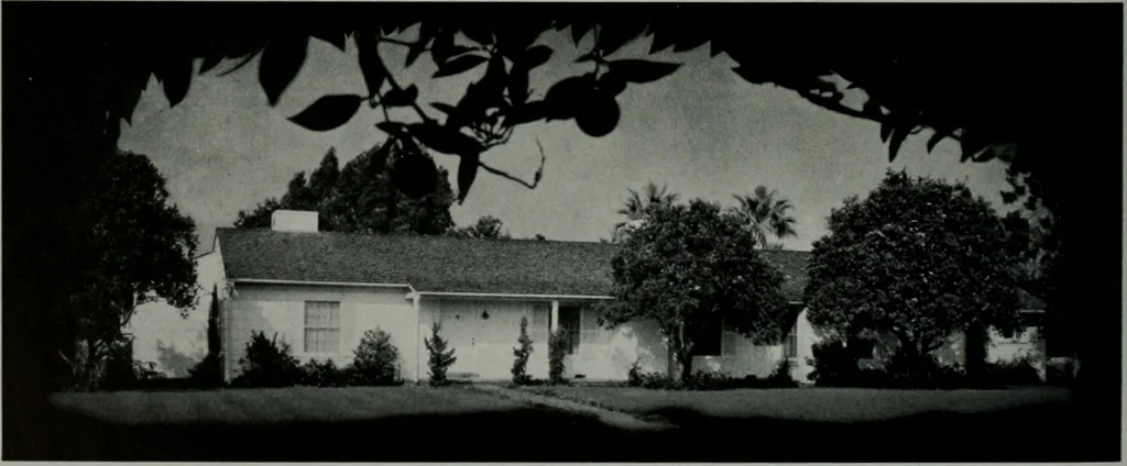 An illustration from Architect and engineer, 1905, leaf 311