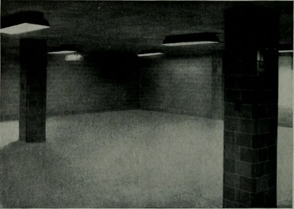 An illustration from Architect and engineer, 1905, leaf 7