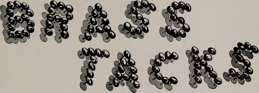 An illustration from Architect and engineer, 1905, leaf 124