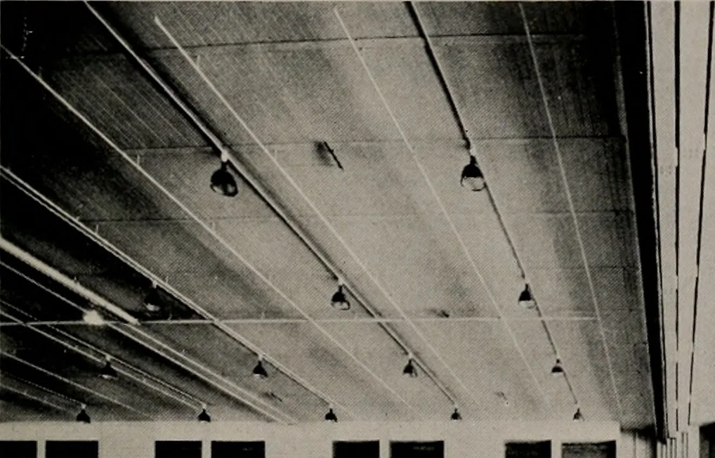 An illustration from Architect and engineer, 1905, leaf 162