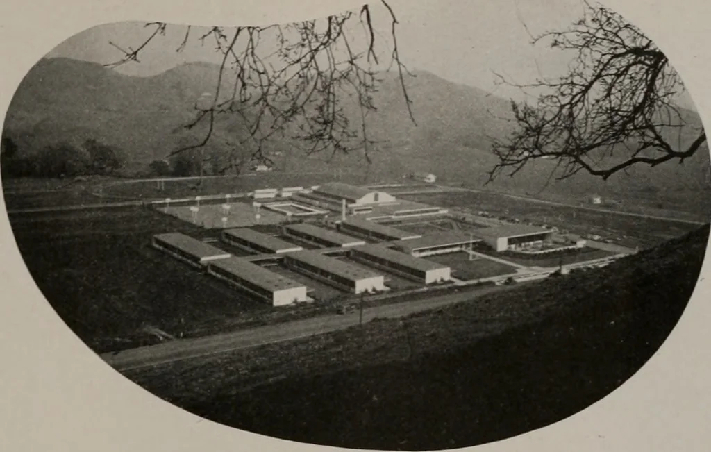 An illustration from Architect and engineer, 1905, leaf 422