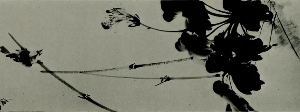 An illustration from Architect and engineer, 1905, leaf 217