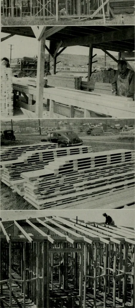 An illustration from Architect and engineer, 1905, leaf 25