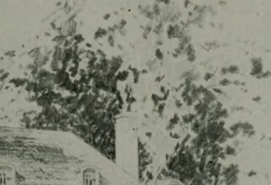 An illustration from Architect and engineer, 1905, leaf 427