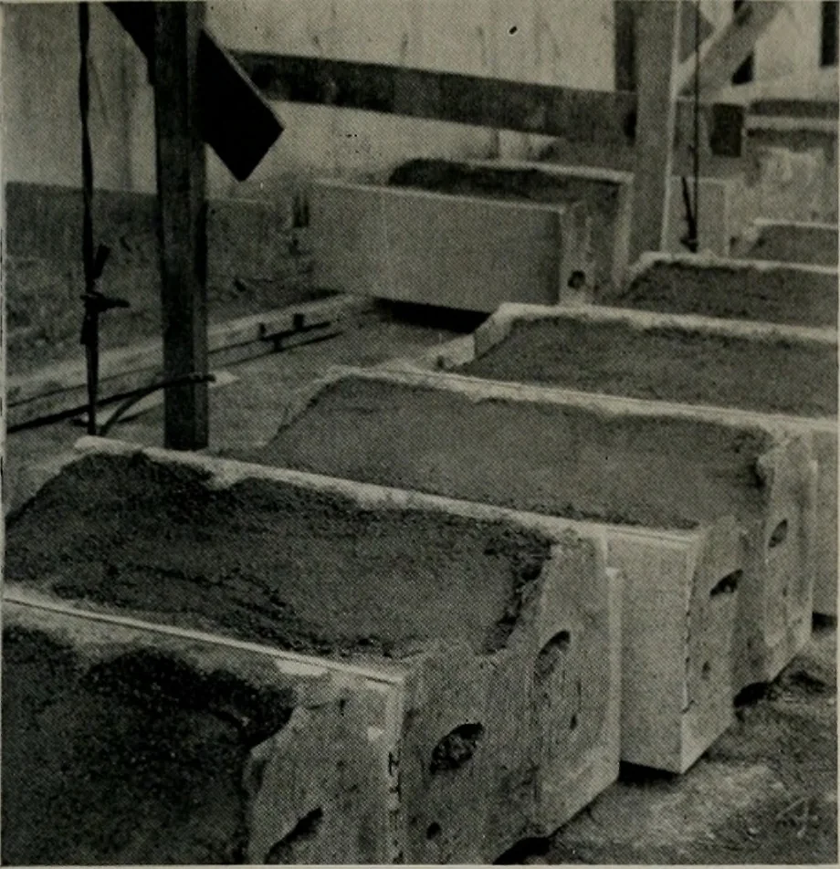 An illustration from Architect and engineer, 1905, leaf 140