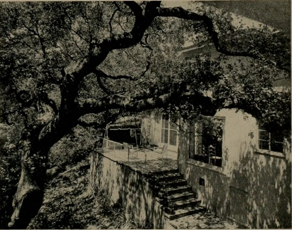 An illustration from Architect and engineer, 1905, leaf 186