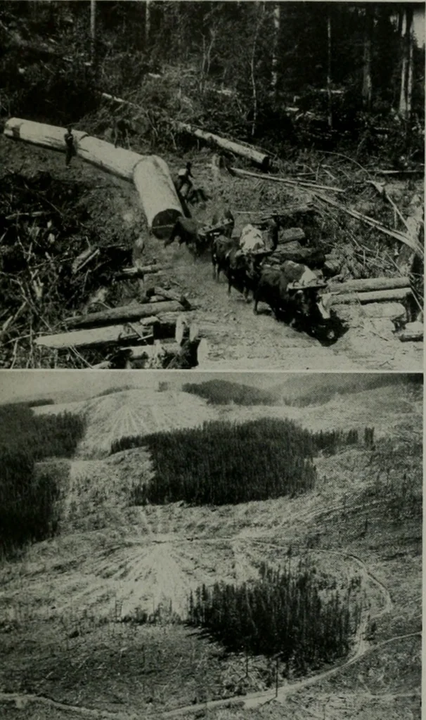 An illustration from Architect and engineer, 1905, leaf 21
