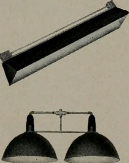 An illustration from Architect and engineer, 1905, leaf 322