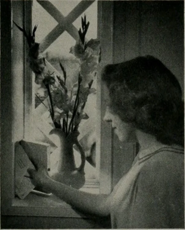 An illustration from Architect and engineer, 1905, leaf 34