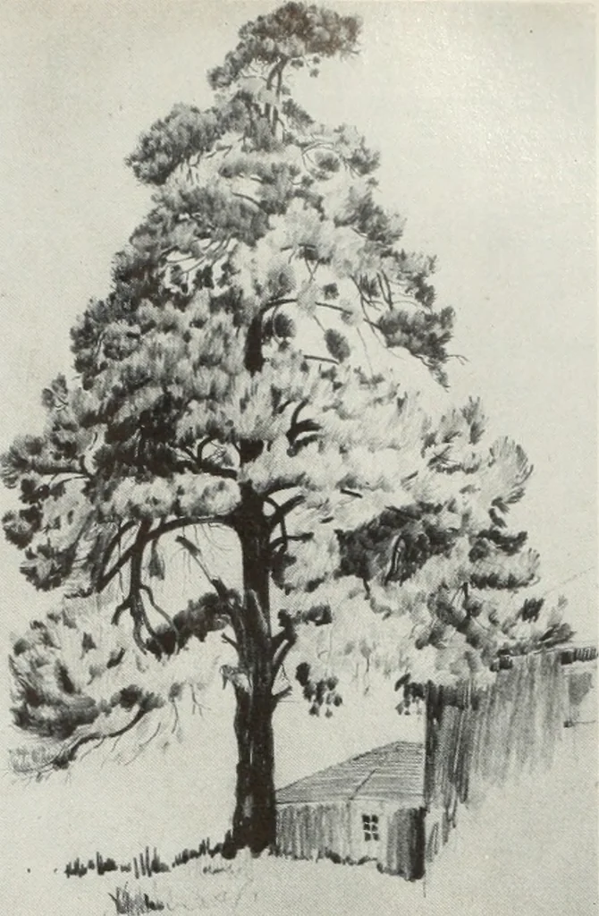 An illustration from Architect and engineer, 1905, leaf 118