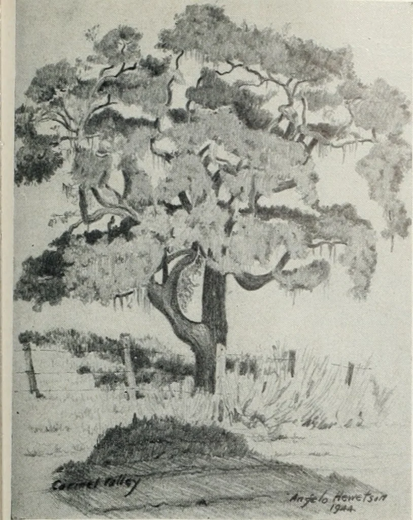 An illustration from Architect and engineer, 1905, leaf 174
