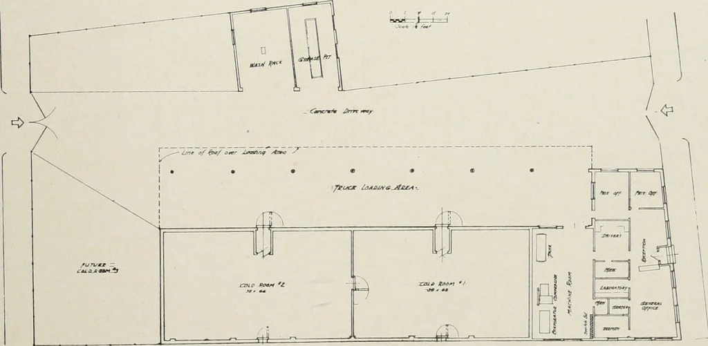 An illustration from Architect and engineer, 1905, leaf 246