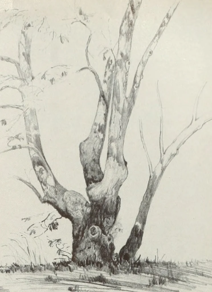 An illustration from Architect and engineer, 1905, leaf 264