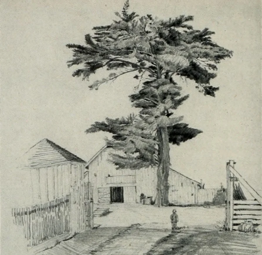 An illustration from Architect and engineer, 1905, leaf 359
