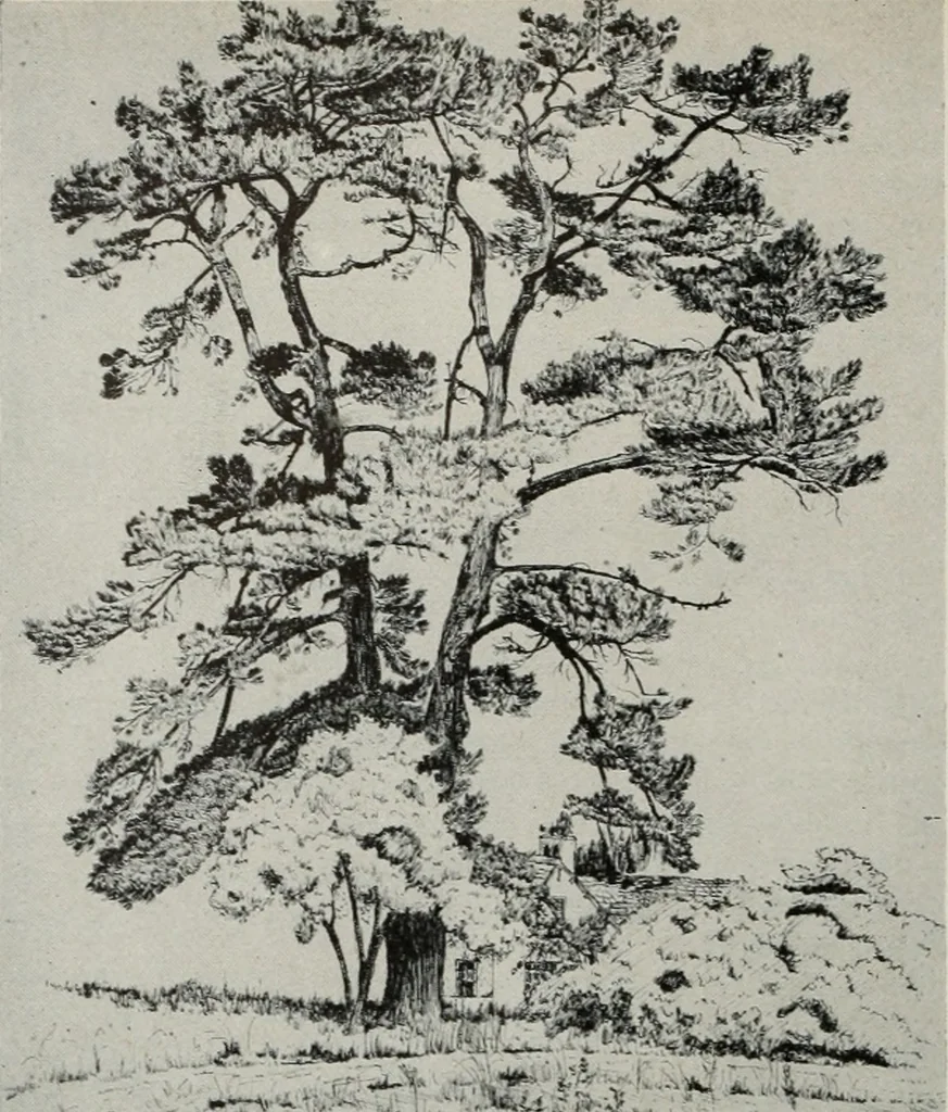 An illustration from Architect and engineer, 1905, leaf 39
